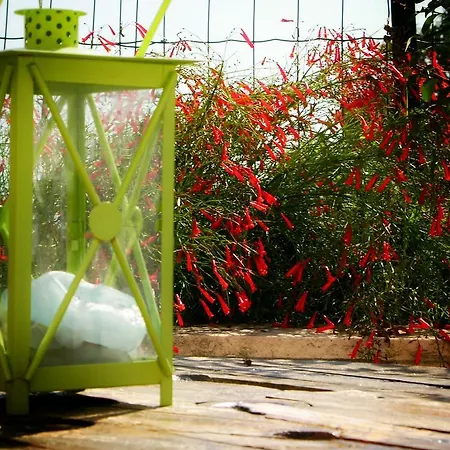 Casa Bougainvillea