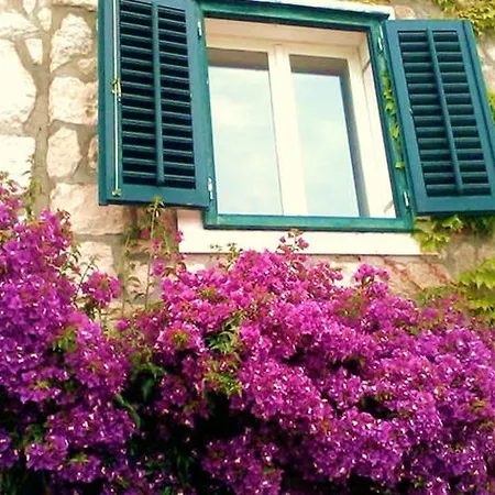 Casa Bougainvillea Vakantiehuis Mlini